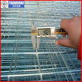Stainless Steel Welded Wire Mesh Panel (Factory and Exporter)